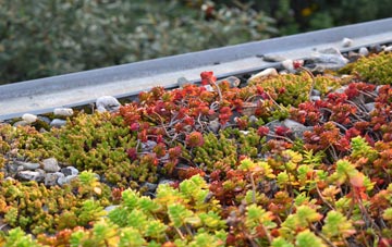 the cost of Millhead green roof installation