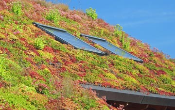 Millhead living roof systems